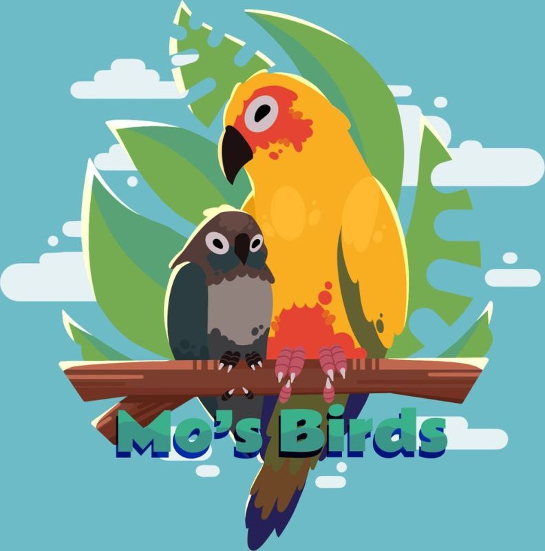 Mo's Birds