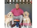 boulevard-animal-hospital-small-0