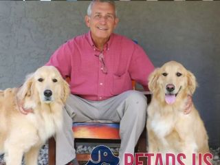 boulevard-animal-hospital