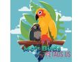 scarlet-macaw-parrot-for-sale-hand-raised-certified-mos-birds-small-1